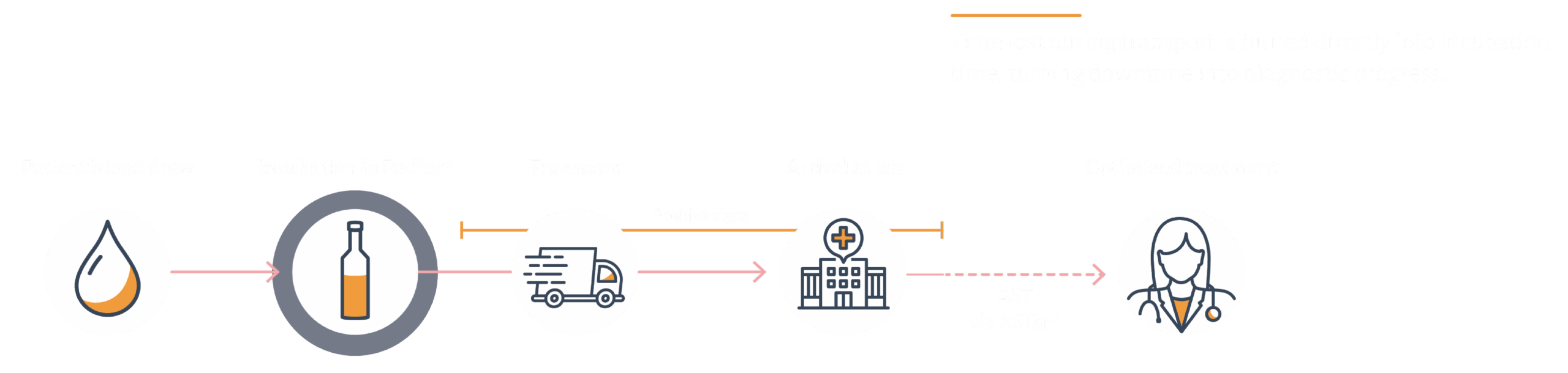 Podler workflow